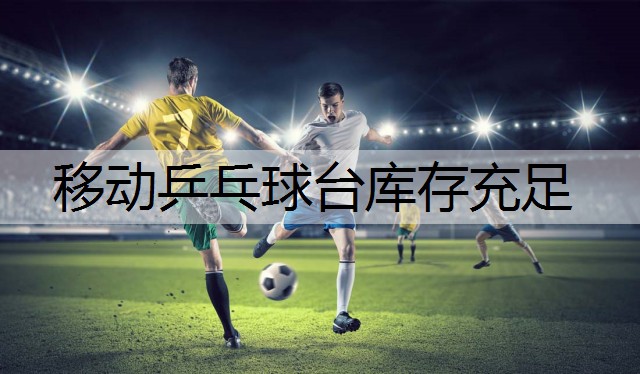 移动乒乓球台库存充足