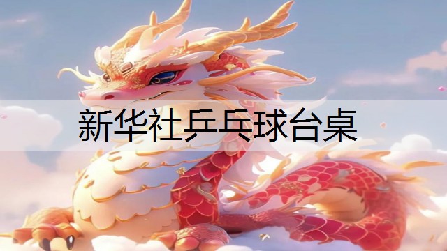 新华社乒乓球台桌