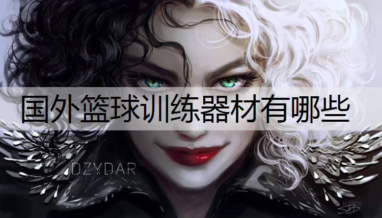 国外篮球训练器材有哪些