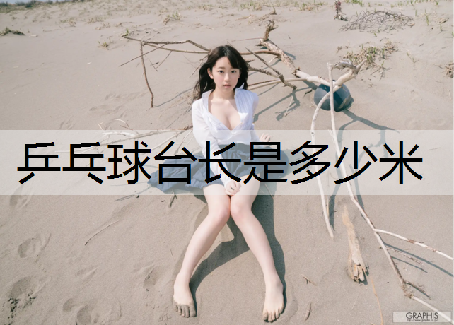 乒乓球台长是多少米