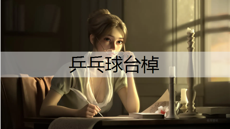乒乓球台棹
