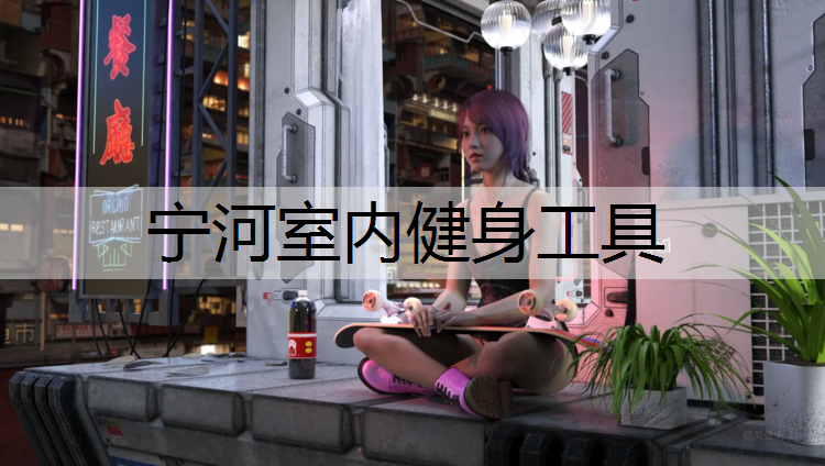 宁河室内健身工具