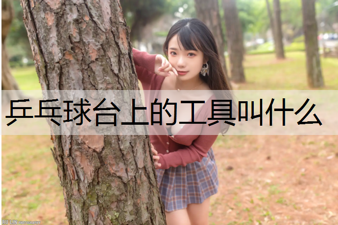 乒乓球台上的工具叫什么