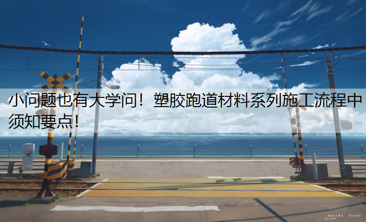 小问题也有大学问！塑胶跑道材料系列施工流程中须知要点！