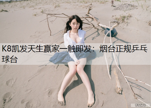 K8凯发天生赢家一触即发：烟台正规乒乓球台