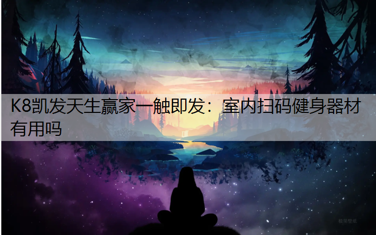 K8凯发天生赢家一触即发：室内扫码健身器材有用吗
