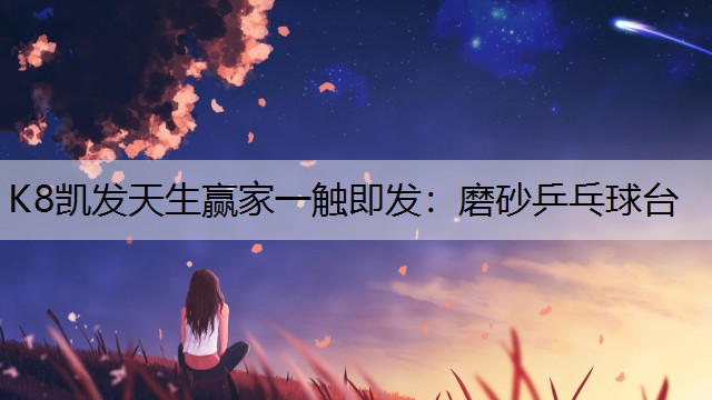 磨砂乒乓球台