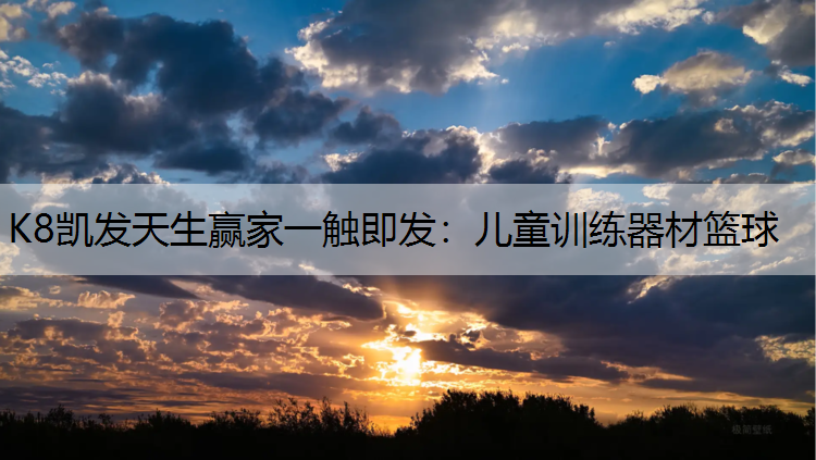 儿童训练器材篮球