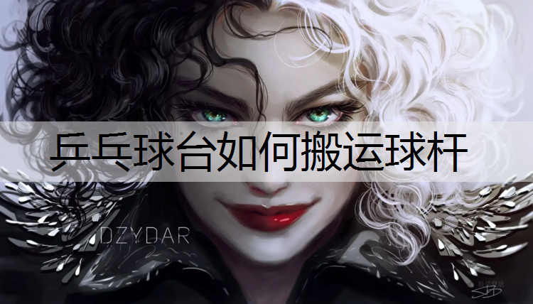 乒乓球台如何搬运球杆 乒乓球台如何搬运球杆