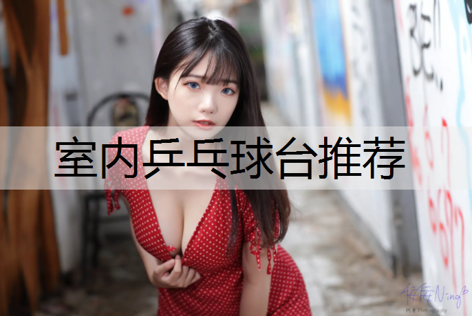 室内乒乓球台推荐