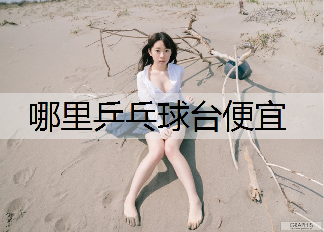 哪里乒乓球台便宜 哪里乒乓球台便宜