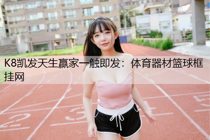 体育器材篮球框挂网