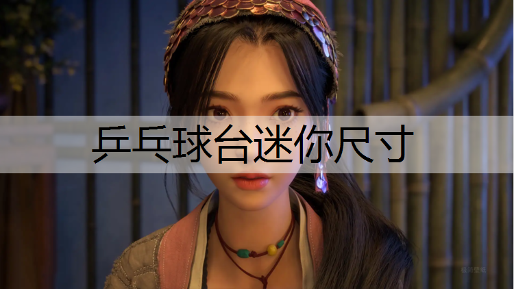 乒乓球台迷你尺寸