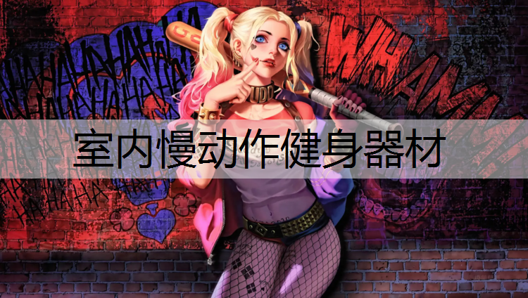 室内慢动作健身器材
