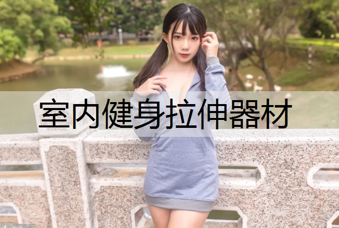 室内健身拉伸器材