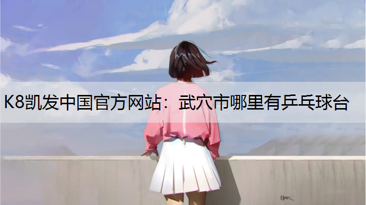 武穴市哪里有乒乓球台