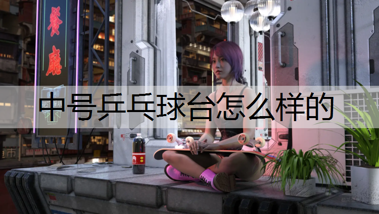 中号乒乓球台怎么样的