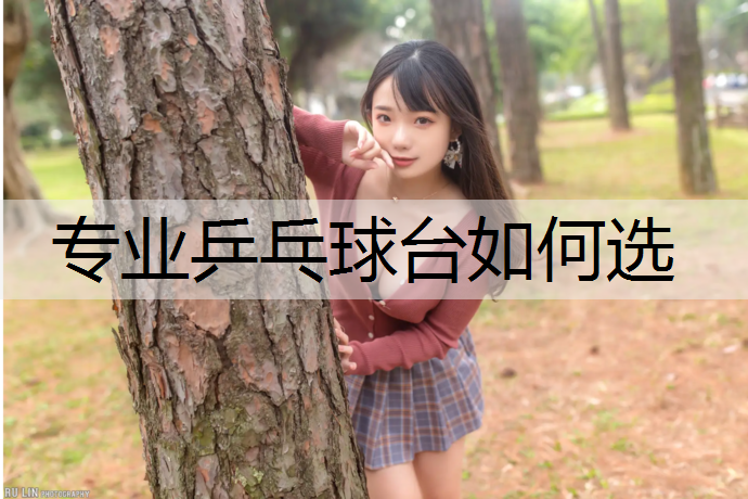 专业乒乓球台如何选
