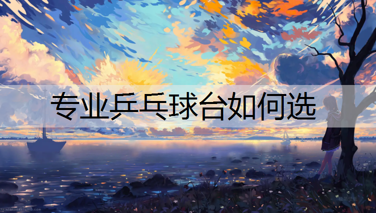 专业乒乓球台如何选