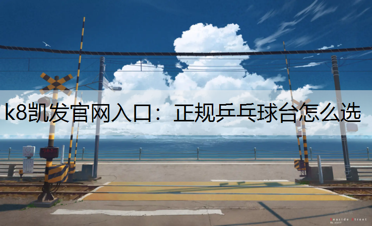 正规乒乓球台怎么选