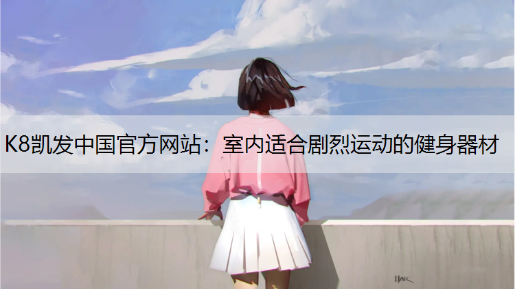 室内适合剧烈运动的健身器材